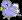 lilbirdy